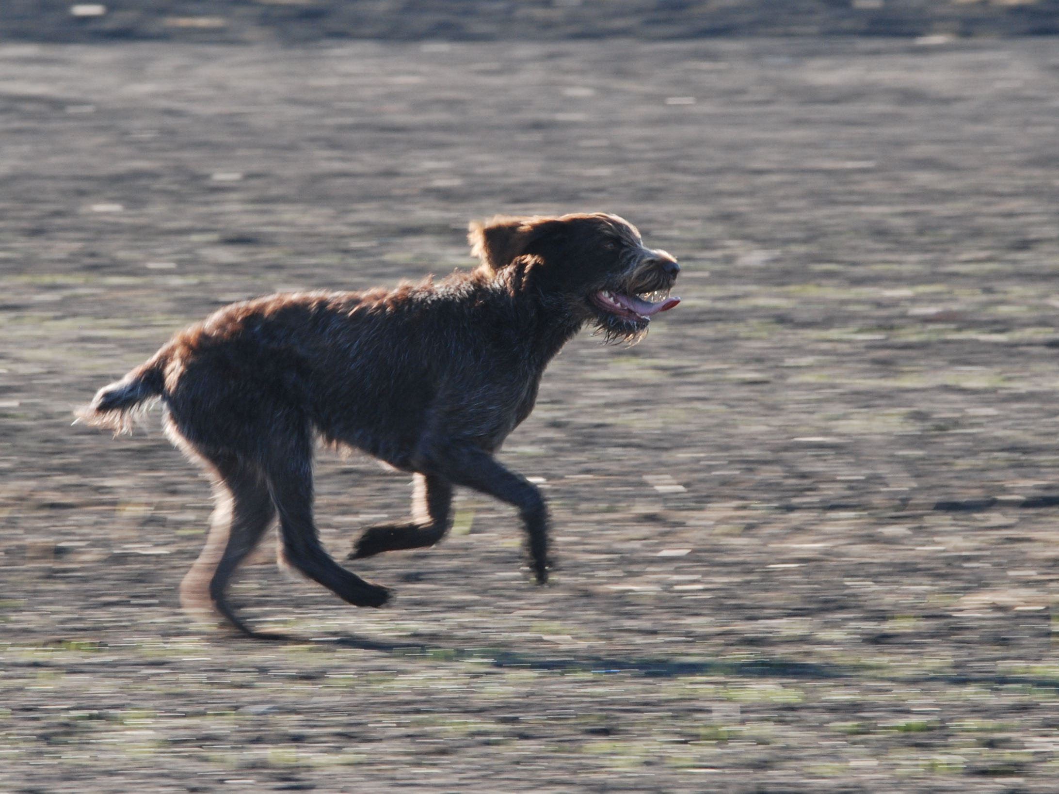 DSC_1976.jpg