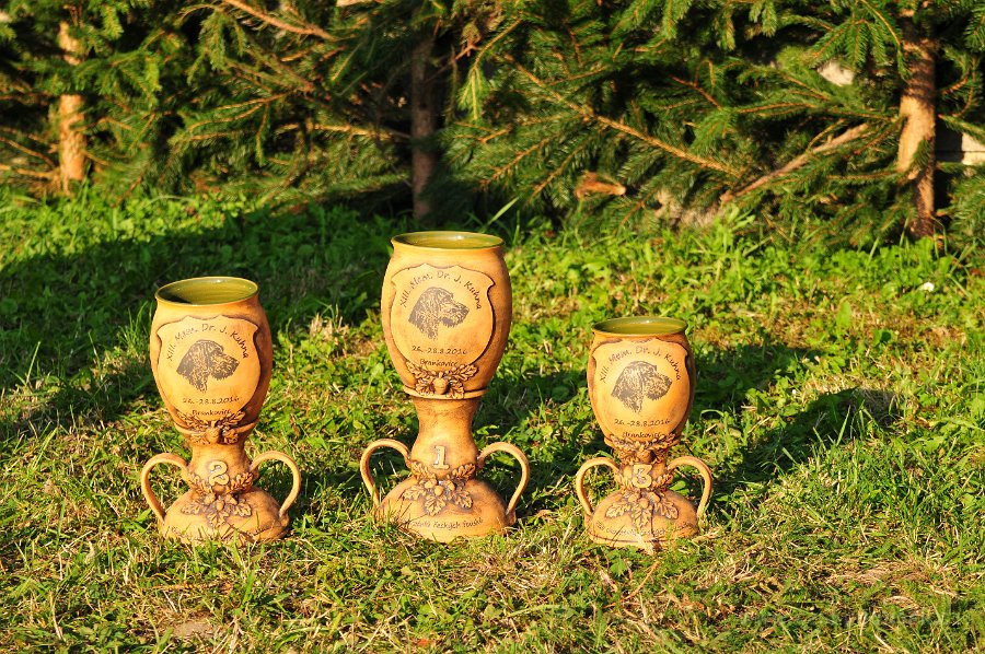 DSC 1900-poháry pro víteze