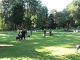 IMG 9309