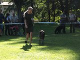 IMG 9336