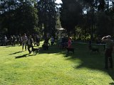 IMG 9339