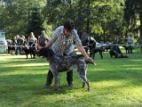 IMG 9381