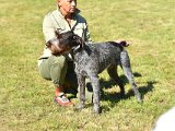 Dsc 3142-430-pes-dorost-VN