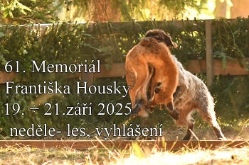 mfh 2025 neděle