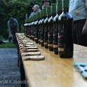 DSC_0869.JPG