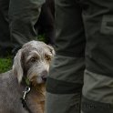 DSC_0891.JPG