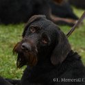 DSC_0922.JPG