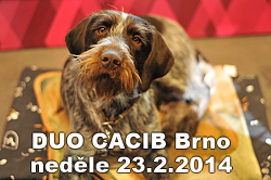 duo-brno-nedele2014
