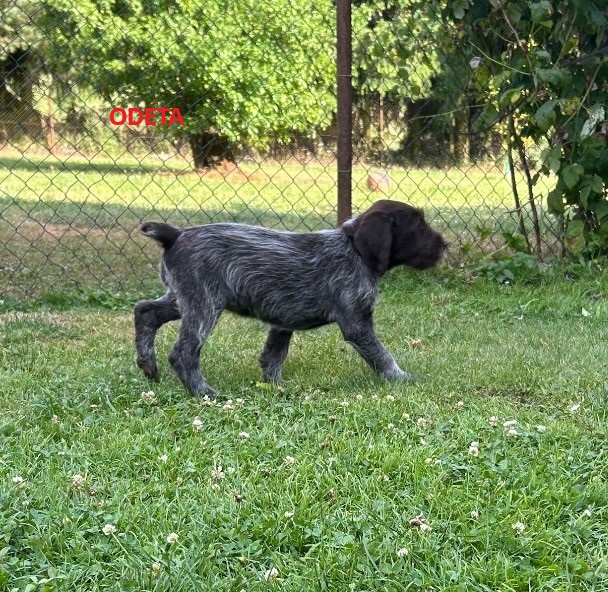 cf 6873fde21a370 IMG 4397